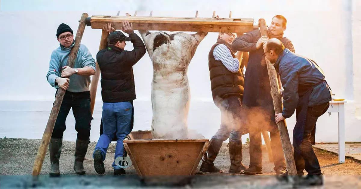 Sautanz mit Starkoch Max Stiegl