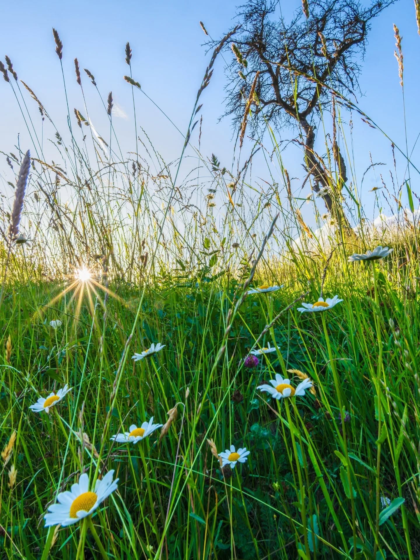 Naturauszeit mit HOCHgefühl 